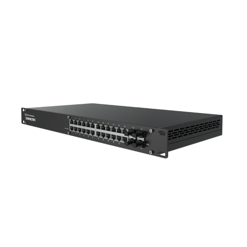 Teltonika SWM281 – L2+ Managed Switch mit 24 Ports